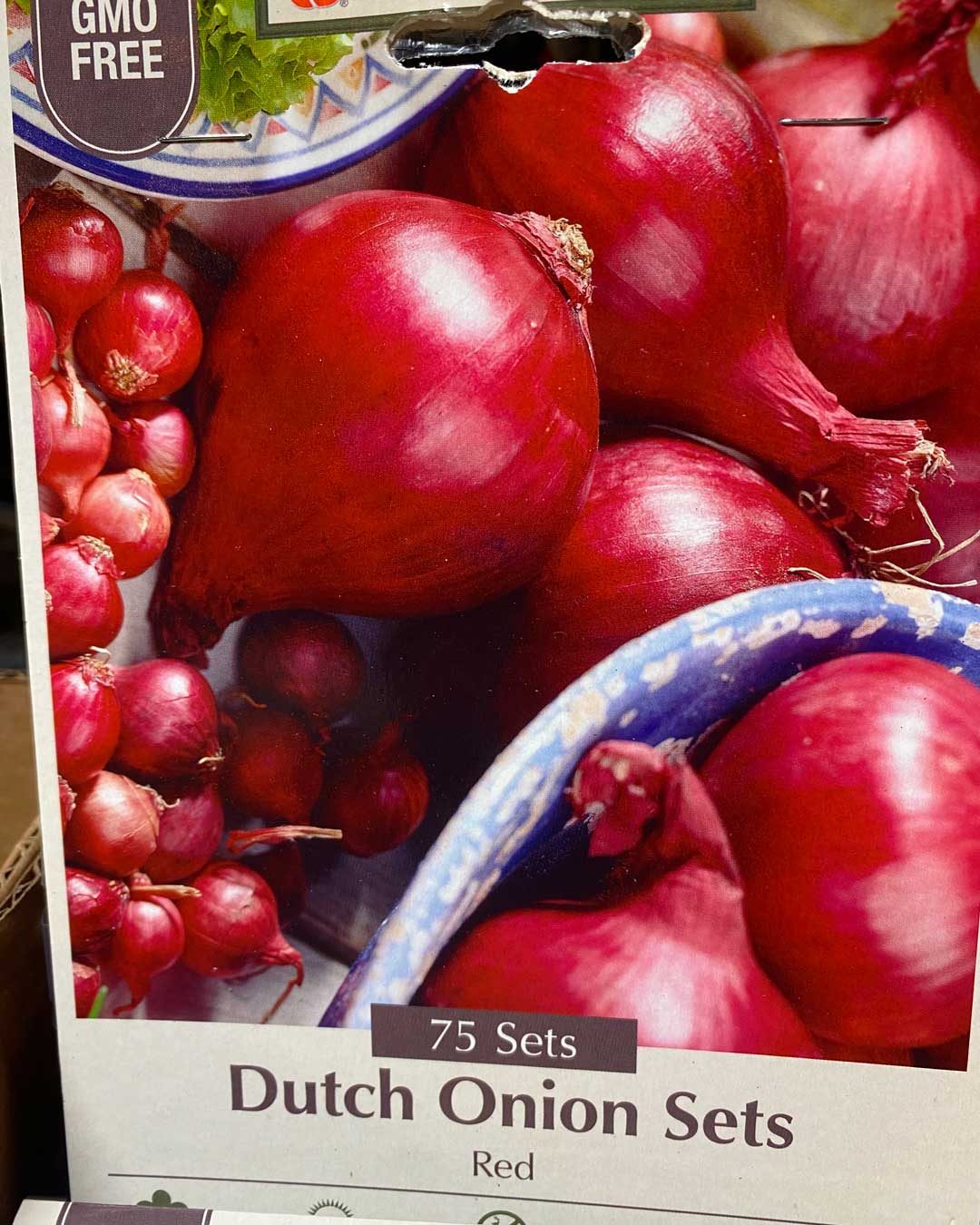 26-red-onion-sets red onion sets