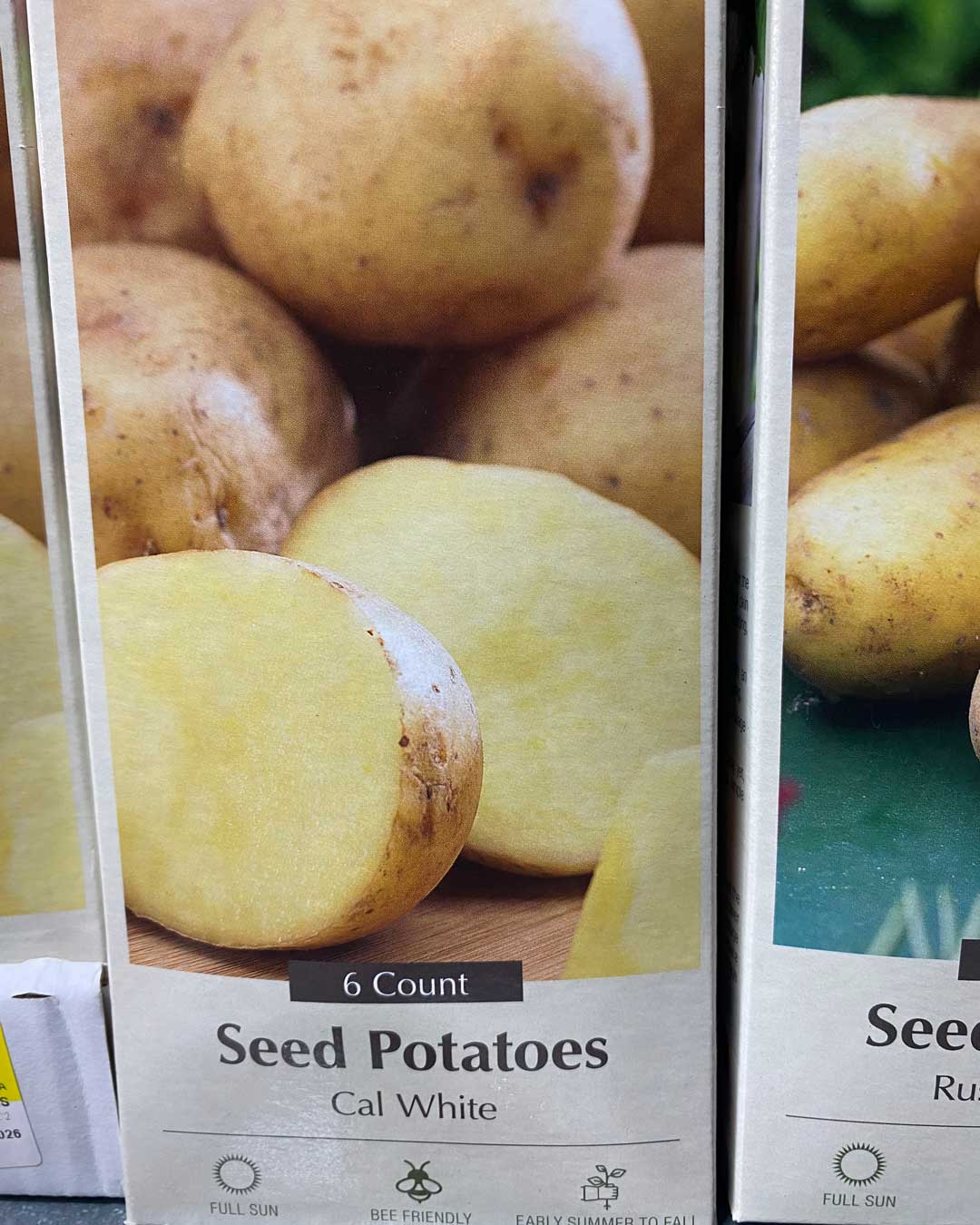 26-seed-potatoes2 seed potatoes
