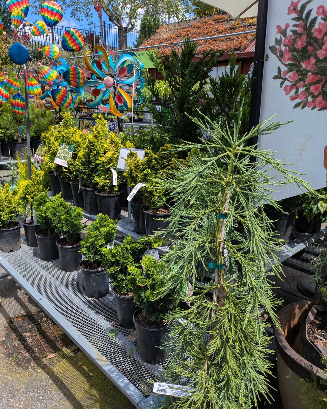 landscape bushes and trees