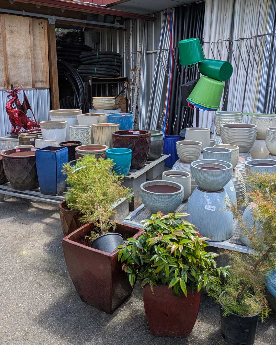 large outdoor pots